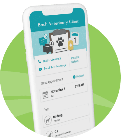 Airvet